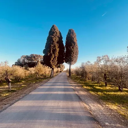 With Pool In The Chianti Montefiridolfi